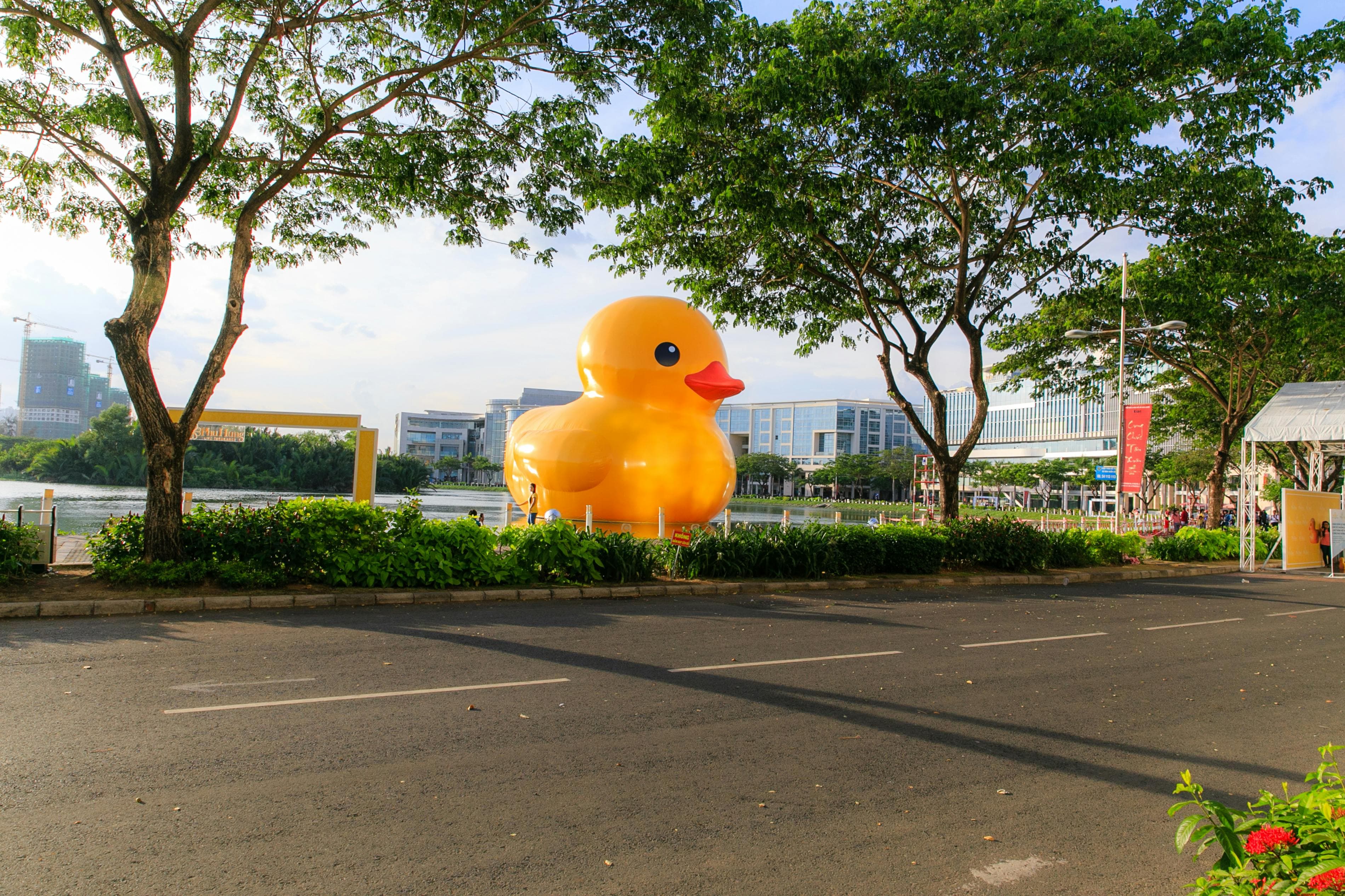 Rubber duck